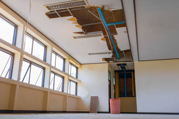 Best Flood restoration services  in Minneapolis, MN