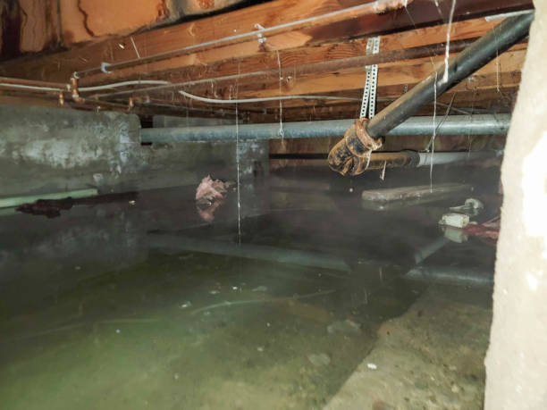 Best Residential water damage restoration  in Minneapolis, MN