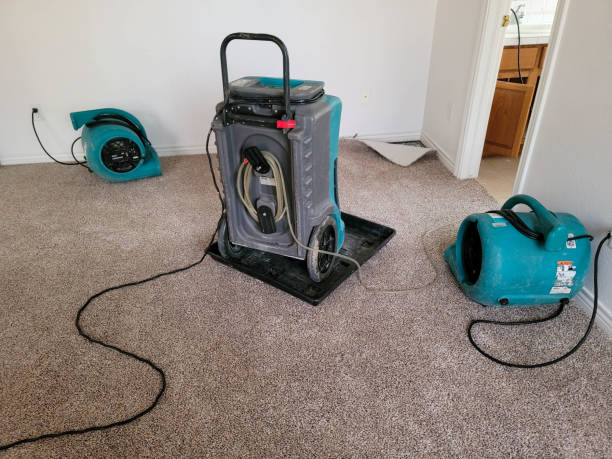 Best Basement water damage restoration  in Minneapolis, MN