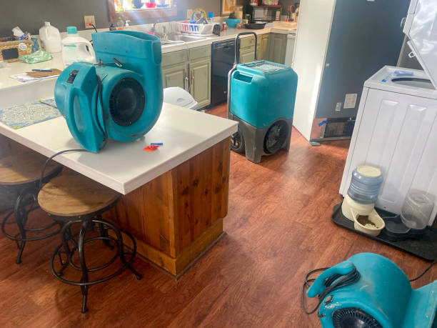 Best Sewage cleanup and water damage restoration  in Minneapolis, MN