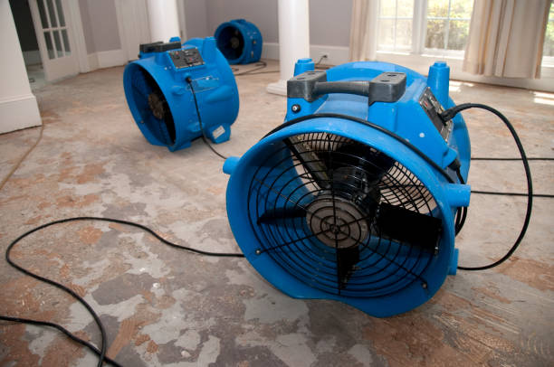 Best Flood restoration services  in Minneapolis, MN